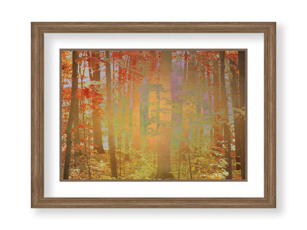 A photo of a forest with red leaves, edited with a color inverion radiating from the center. Printed on paper, matted, and framed.