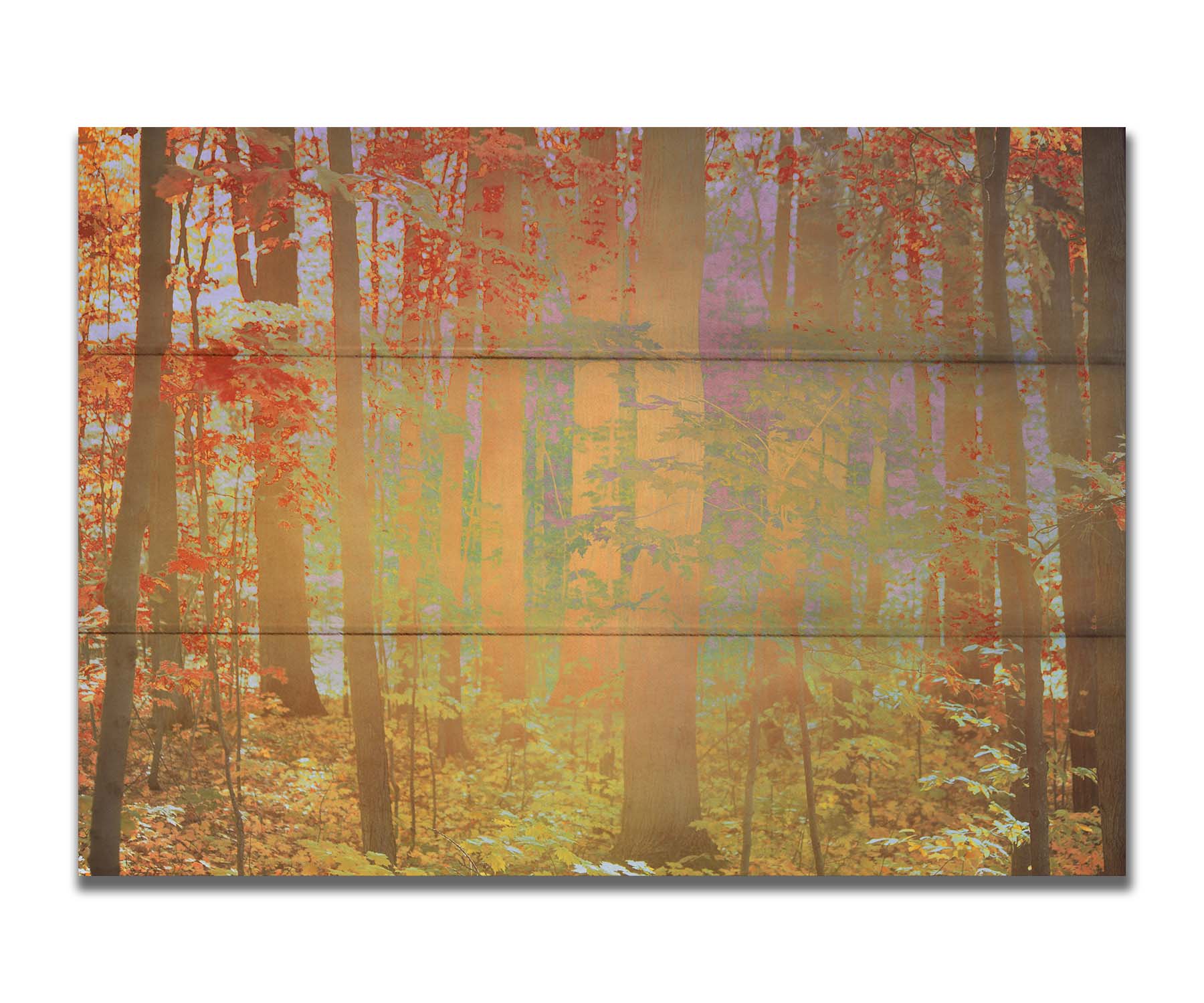 A photo of a forest with red leaves, edited with a color inverion radiating from the center. Printed on a box board.