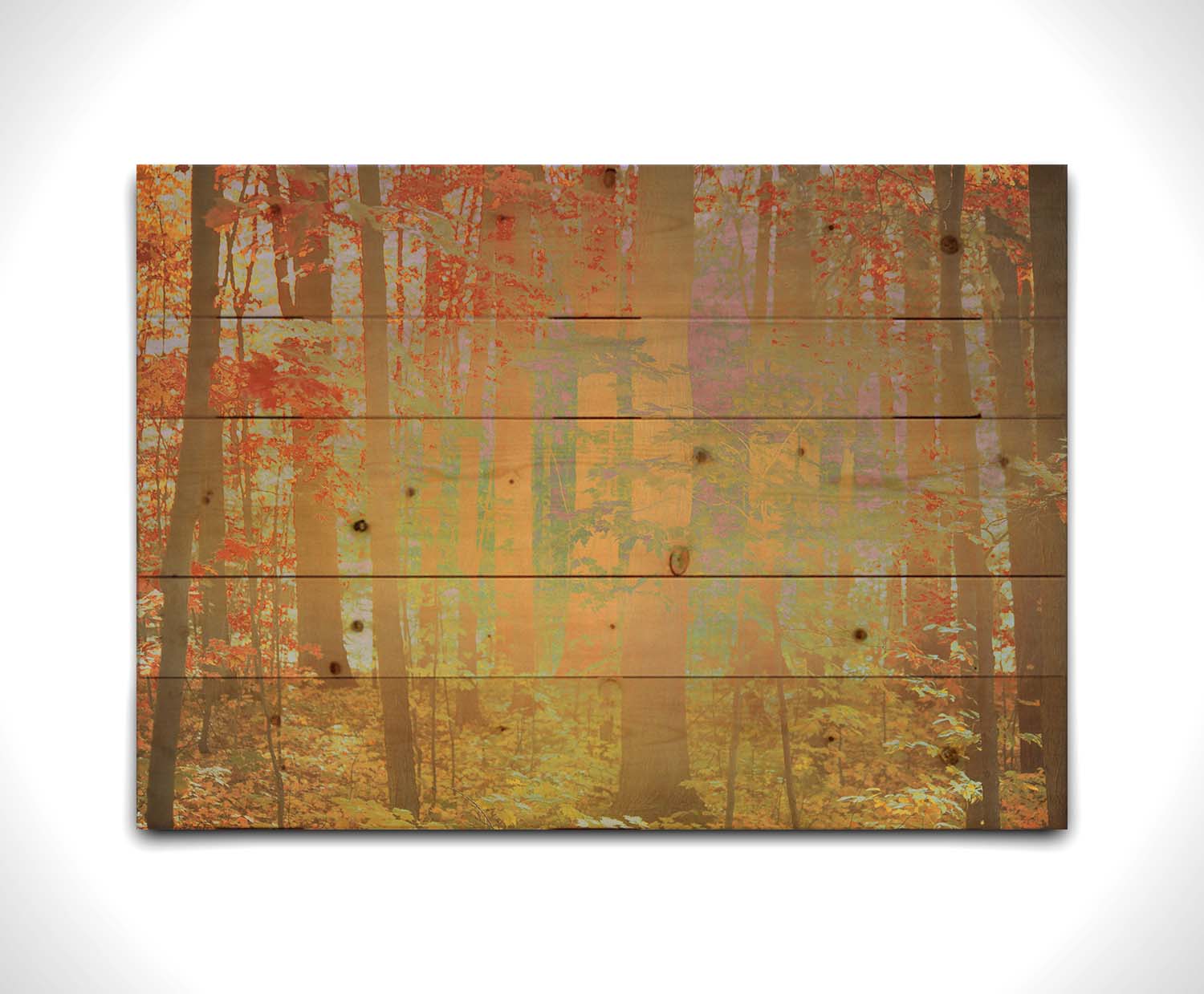 A photo of a forest with red leaves, edited with a color inverion radiating from the center. Printed on a wood pallet.