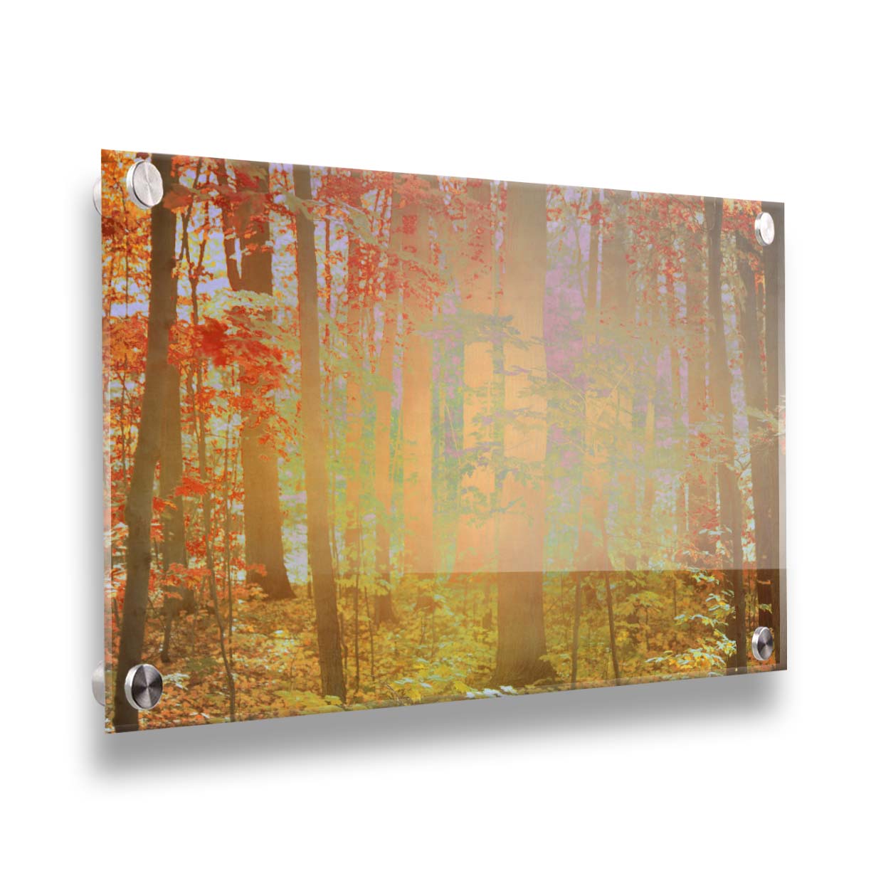 A photo of a forest with red leaves, edited with a color inverion radiating from the center. Printed on acrylic.