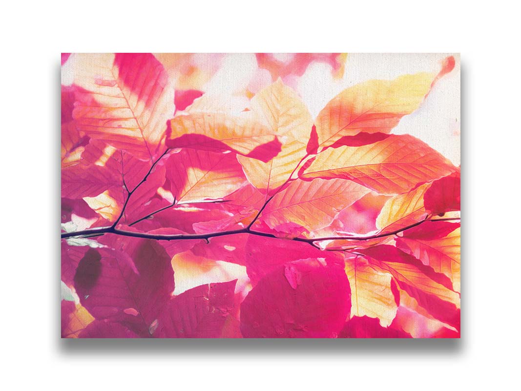 A photo of a branch of leaves in yellow, orange, red, and purple. Edited to have a smooth painterly quality. Printed on canvas.A photo of a branch of leaves in yellow, orange, red, and purple. Edited to have a smooth painterly quality. Printed on canvas.