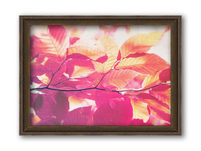 A photo of a branch of leaves in yellow, orange, red, and purple. Edited to have a smooth painterly quality. Printed on canvas.A photo of a branch of leaves in yellow, orange, red, and purple. Edited to have a smooth painterly quality. Printed on canvas and framed.