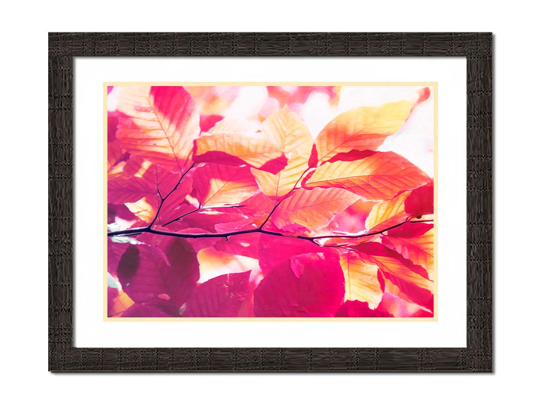 A photo of a branch of leaves in yellow, orange, red, and purple. Edited to have a smooth painterly quality. Printed on canvas.A photo of a branch of leaves in yellow, orange, red, and purple. Edited to have a smooth painterly quality. Printed on paper, matted, and framed.