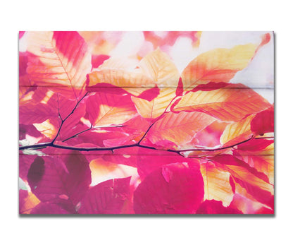 A photo of a branch of leaves in yellow, orange, red, and purple. Edited to have a smooth painterly quality. Printed on canvas.A photo of a branch of leaves in yellow, orange, red, and purple. Edited to have a smooth painterly quality. Printed on a box board.