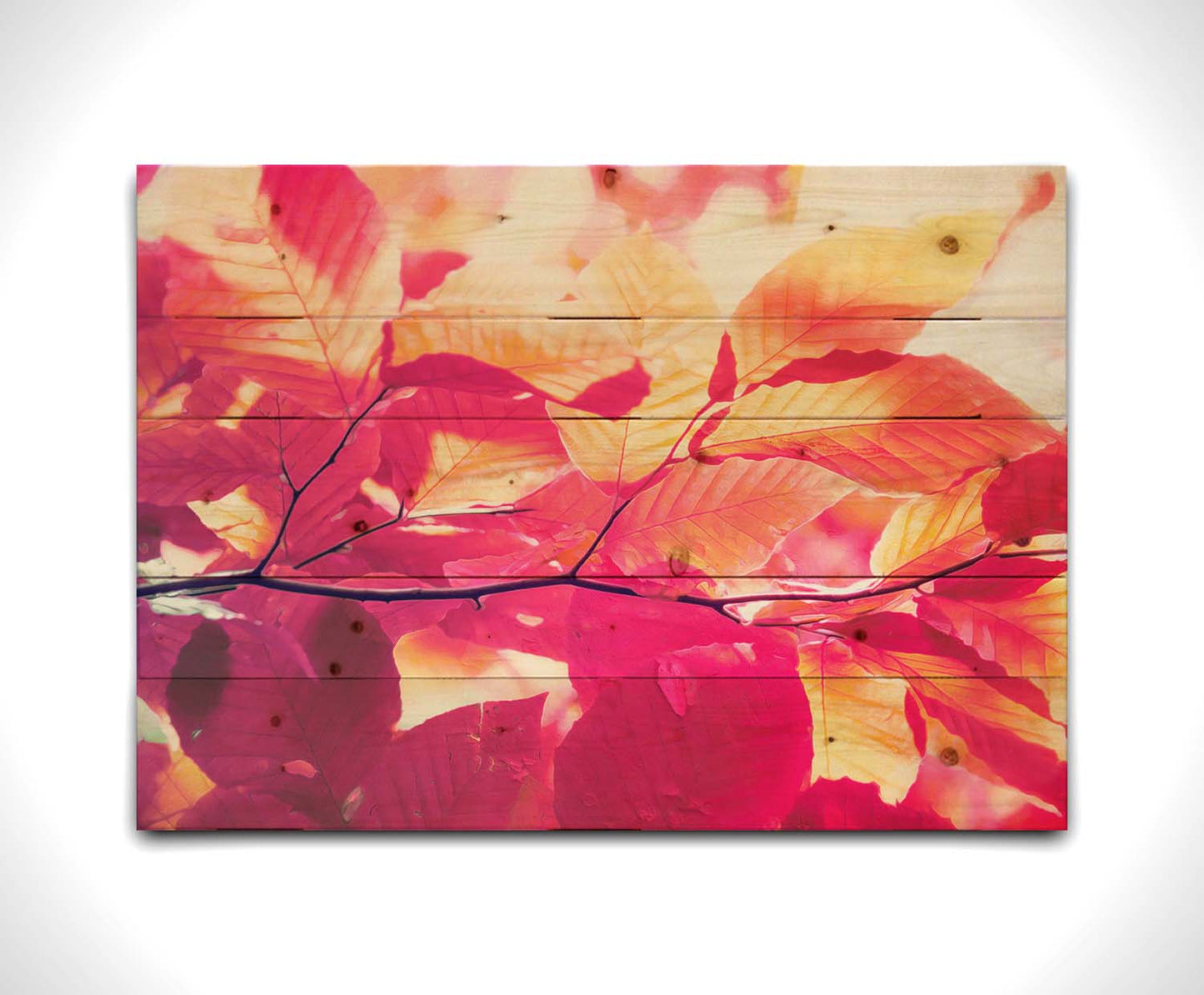 A photo of a branch of leaves in yellow, orange, red, and purple. Edited to have a smooth painterly quality. Printed on canvas.A photo of a branch of leaves in yellow, orange, red, and purple. Edited to have a smooth painterly quality. Printed on a wood pallet.