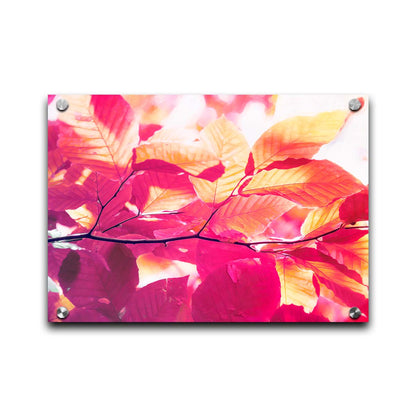 A photo of a branch of leaves in yellow, orange, red, and purple. Edited to have a smooth painterly quality. Printed on canvas.A photo of a branch of leaves in yellow, orange, red, and purple. Edited to have a smooth painterly quality. Printed on acrylic.