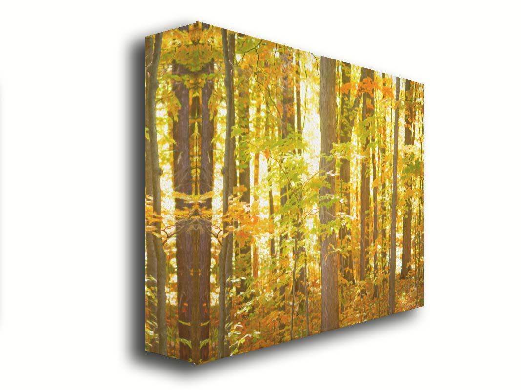 A photo of a forest, its leaves turning yellow and falling to the ground. Printed on canvas.