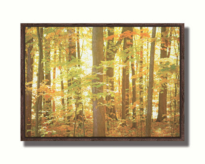 A photo of a forest, its leaves turning yellow and falling to the ground. Printed on canvas in a float frame.