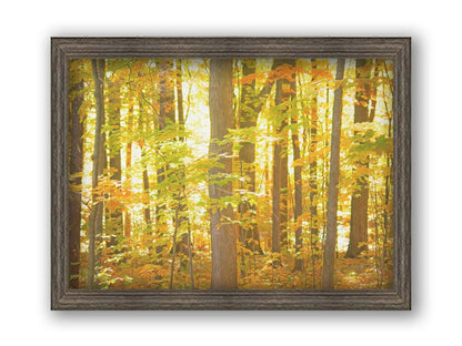 A photo of a forest, its leaves turning yellow and falling to the ground. Printed on canvas and framed.