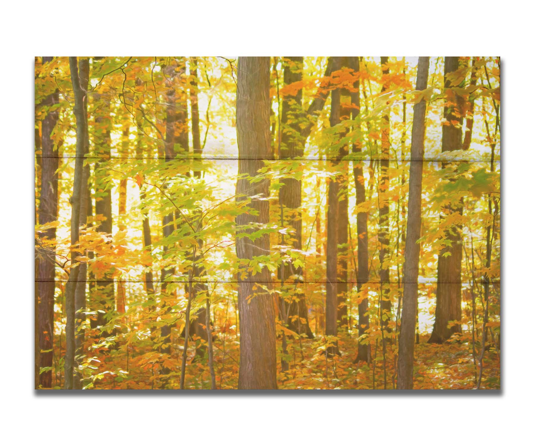 A photo of a forest, its leaves turning yellow and falling to the ground. Printed on a box board.