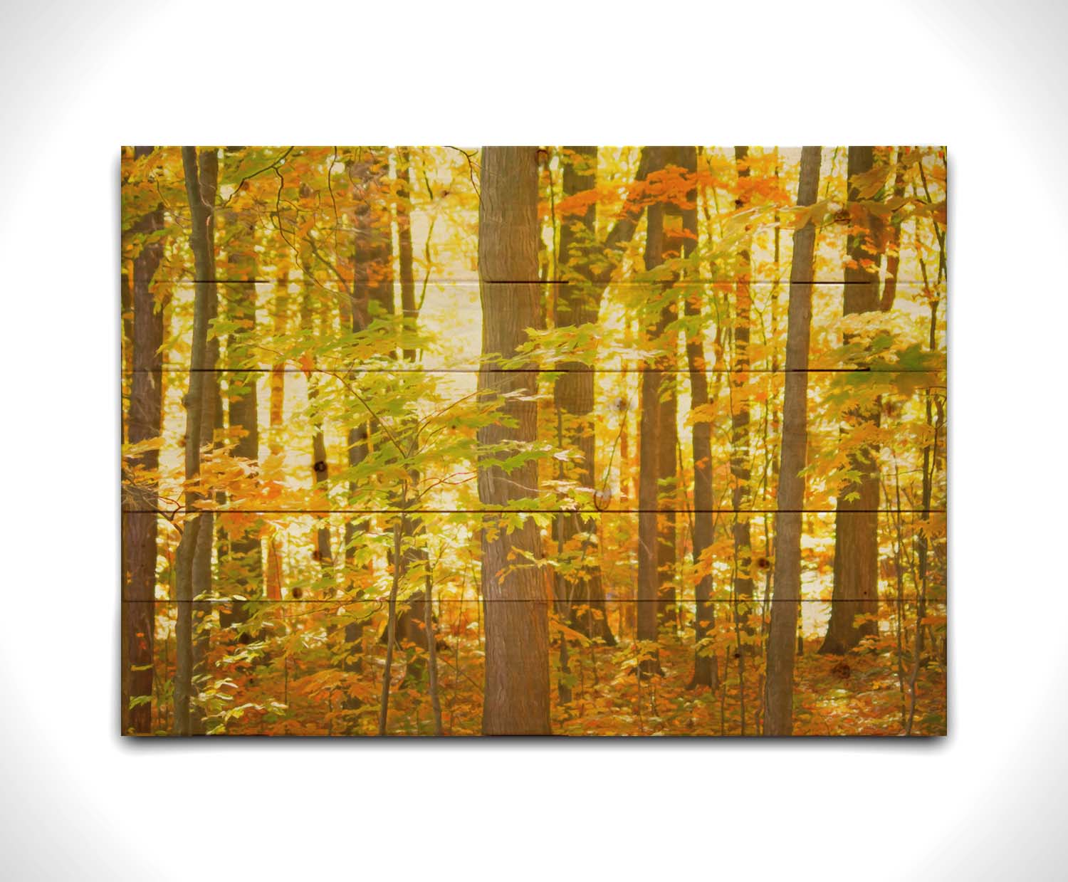 A photo of a forest, its leaves turning yellow and falling to the ground. Printed on a wood pallet.