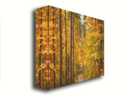 A photo looking down a path through a forest, its trees changing color for fall. Printed on canvas.