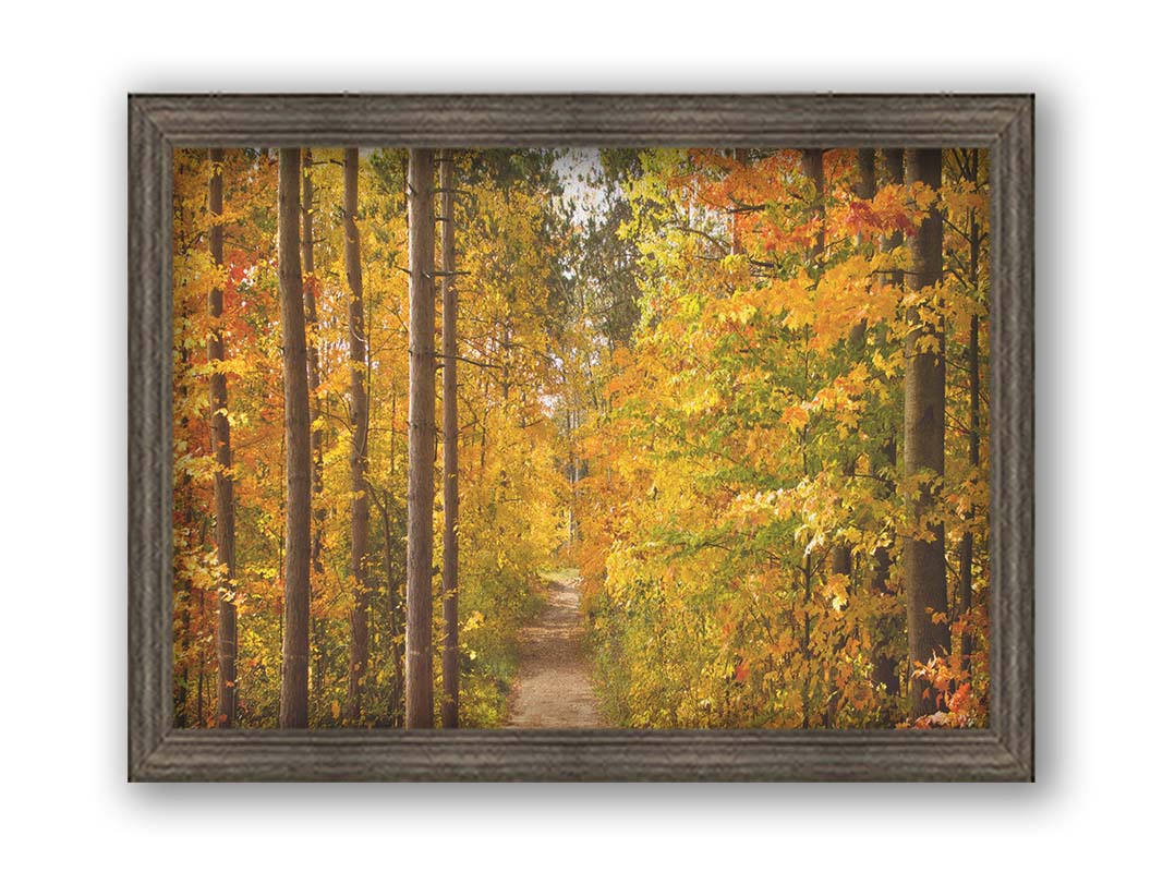 A photo looking down a path through a forest, its trees changing color for fall. Printed on canvas and framed.