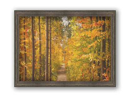 A photo looking down a path through a forest, its trees changing color for fall. Printed on canvas and framed.