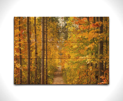 A photo looking down a path through a forest, its trees changing color for fall. Printed on a wood pallet.