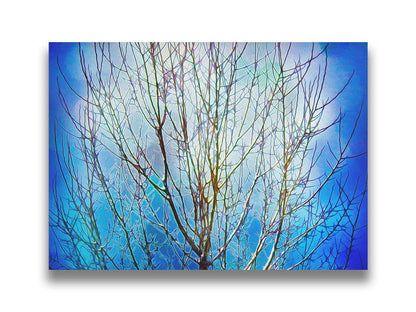 A photo looking up at a leafless tree against a bright blue sky, edited to have a painterly quality. Printed on canvas.