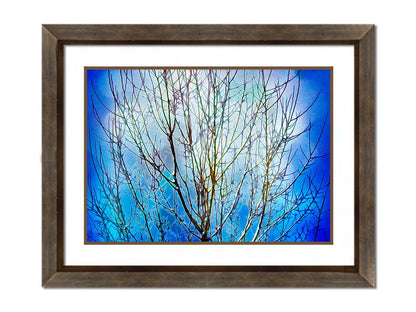 A photo looking up at a leafless tree against a bright blue sky, edited to have a painterly quality. Printed on paper, matted, and framed.