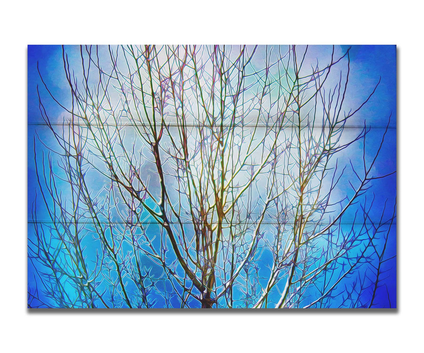 A photo looking up at a leafless tree against a bright blue sky, edited to have a painterly quality. Printed on a box board.