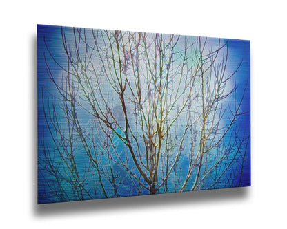 A photo looking up at a leafless tree against a bright blue sky, edited to have a painterly quality. Printed on metal.