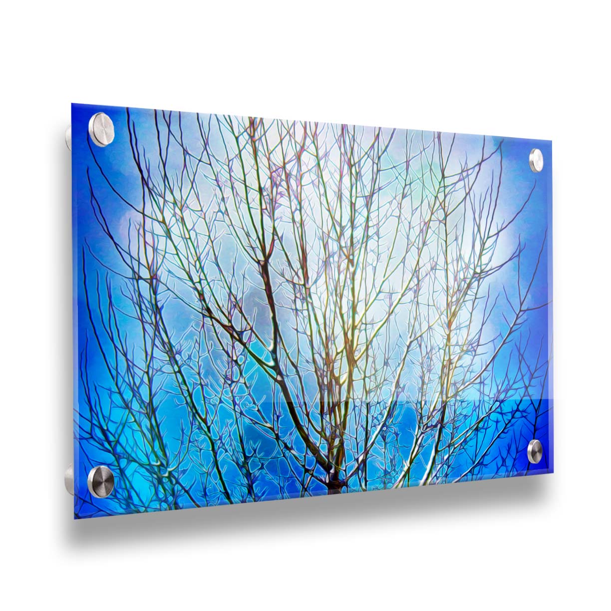 A photo looking up at a leafless tree against a bright blue sky, edited to have a painterly quality. Printed on acrylic.