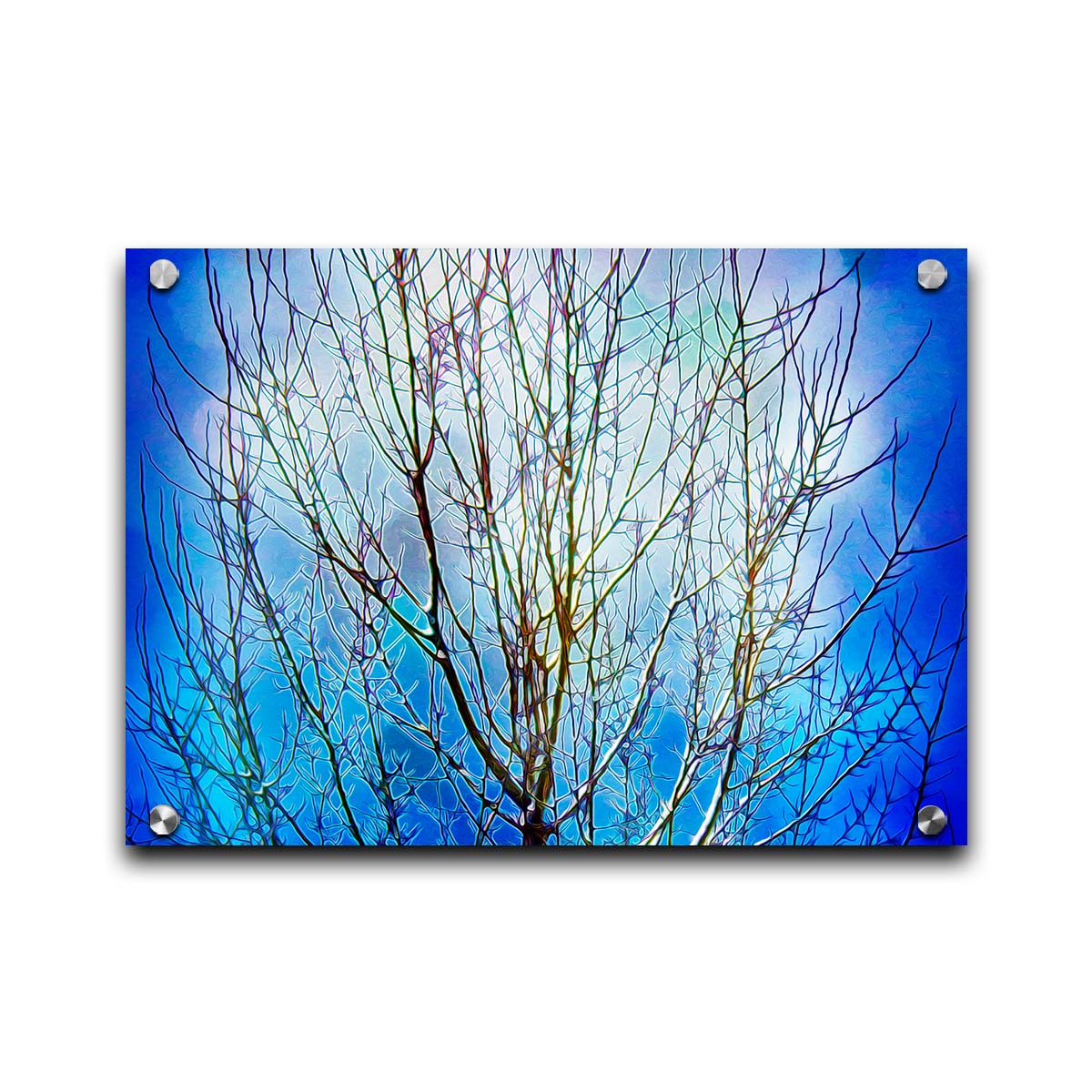 A photo looking up at a leafless tree against a bright blue sky, edited to have a painterly quality. Printed on acrylic.