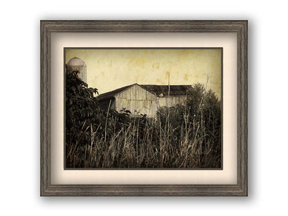 A sepia tone photo of a barn peeking through a foreground of tall grasses and foliage. Printed on paper, matted, and framed.