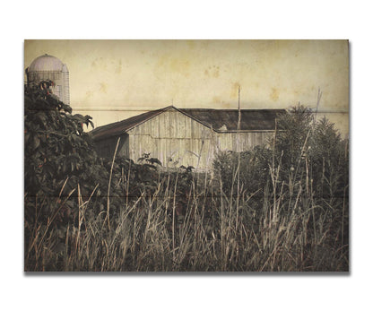 A sepia tone photo of a barn peeking through a foreground of tall grasses and foliage. Printed on a box board.