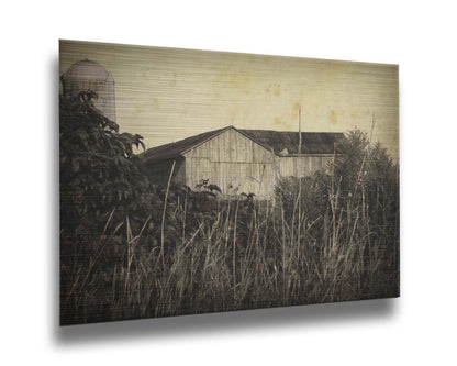 A sepia tone photo of a barn peeking through a foreground of tall grasses and foliage. Printed on metal.