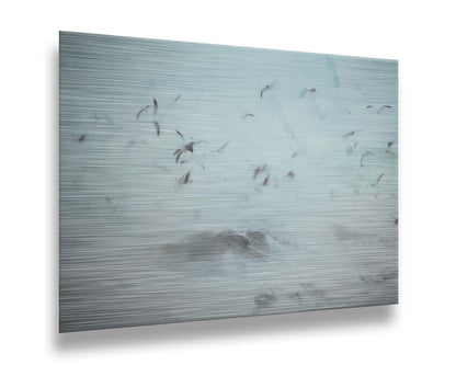 A photo edit of birds flying low over the stormy ocean, searching for a meal. Printed on metal.