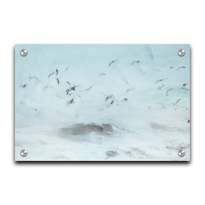 A photo edit of birds flying low over the stormy ocean, searching for a meal. Printed on acrylic.