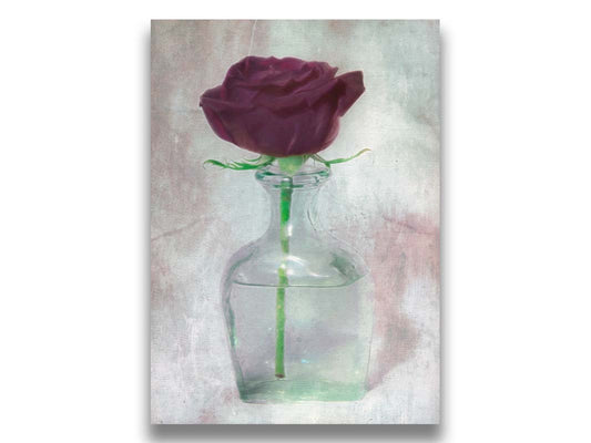 A photo of a dark rose with a bright green stem in a glass vase, with a white and gray backdrop. Printed on canvas.