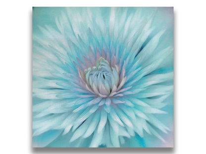 A closeup photo of a clematis flower in blue. Printed on canvas.