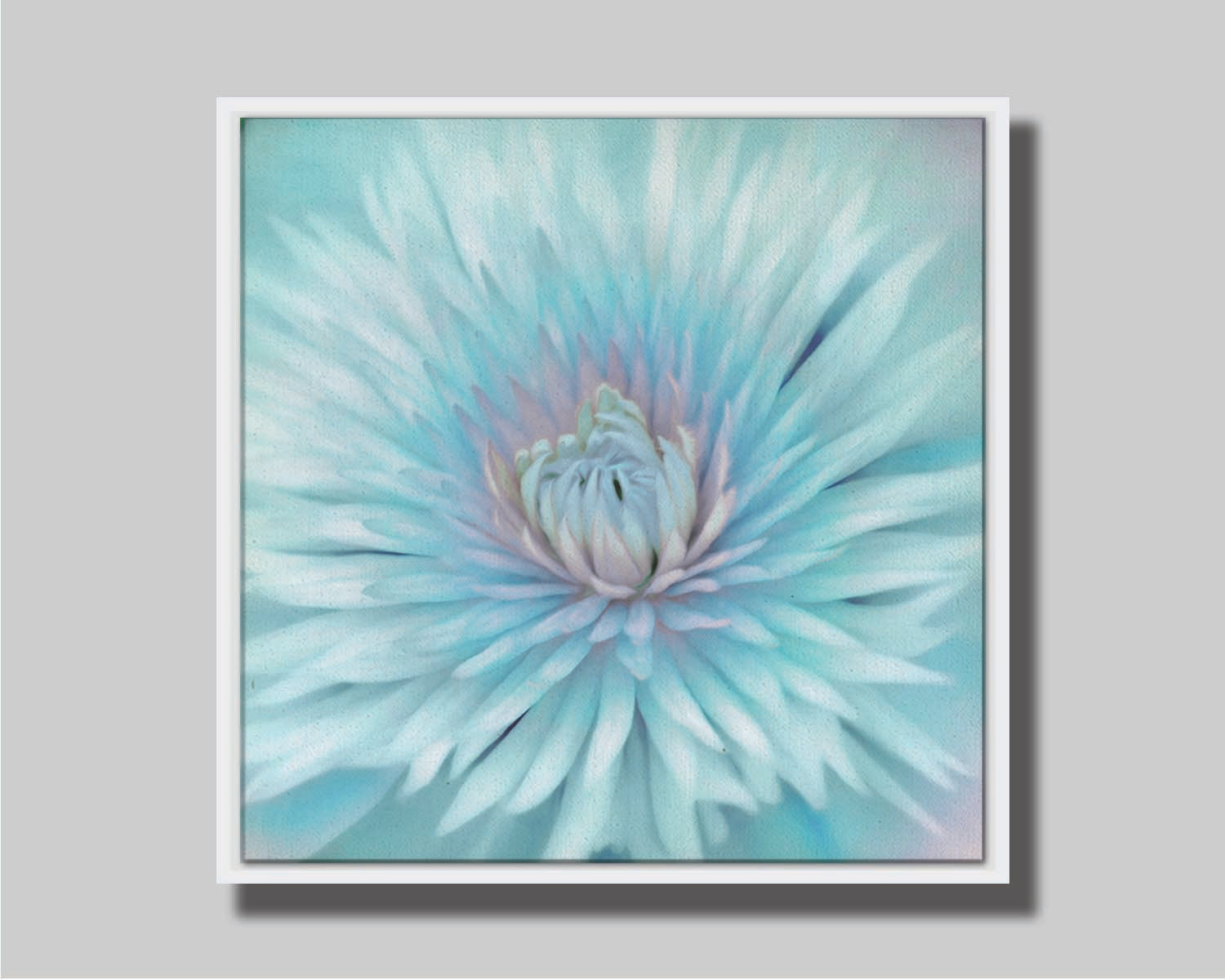 A closeup photo of a clematis flower in blue. Printed on canvas in a float frame.