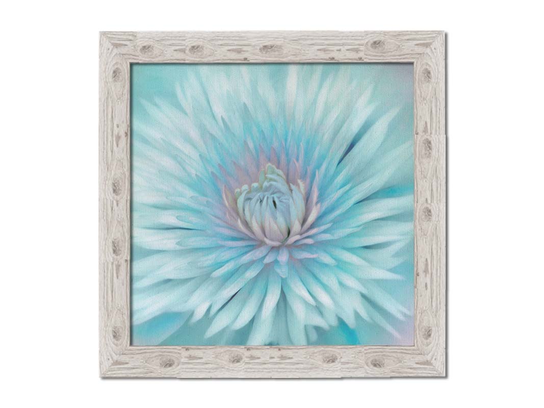 A closeup photo of a clematis flower in blue. Printed on canvas and framed.