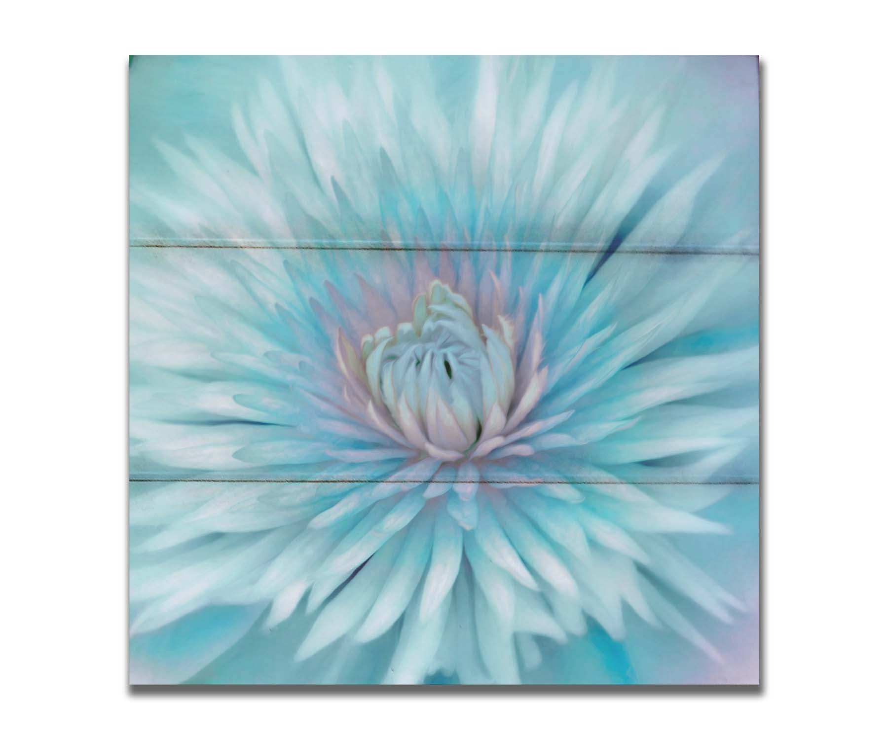 A closeup photo of a clematis flower in blue. Printed on a box board.