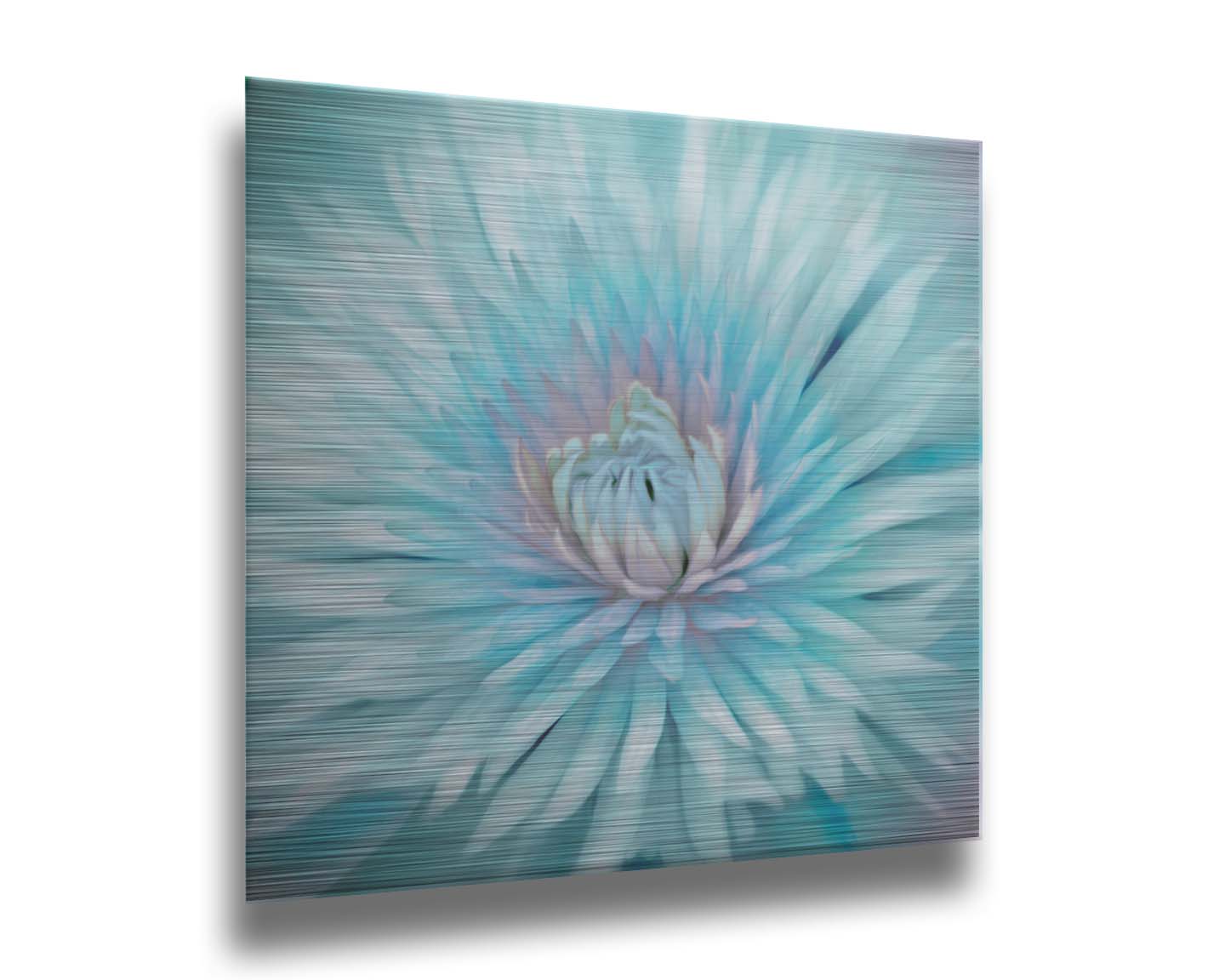 A closeup photo of a clematis flower in blue. Printed on metal.