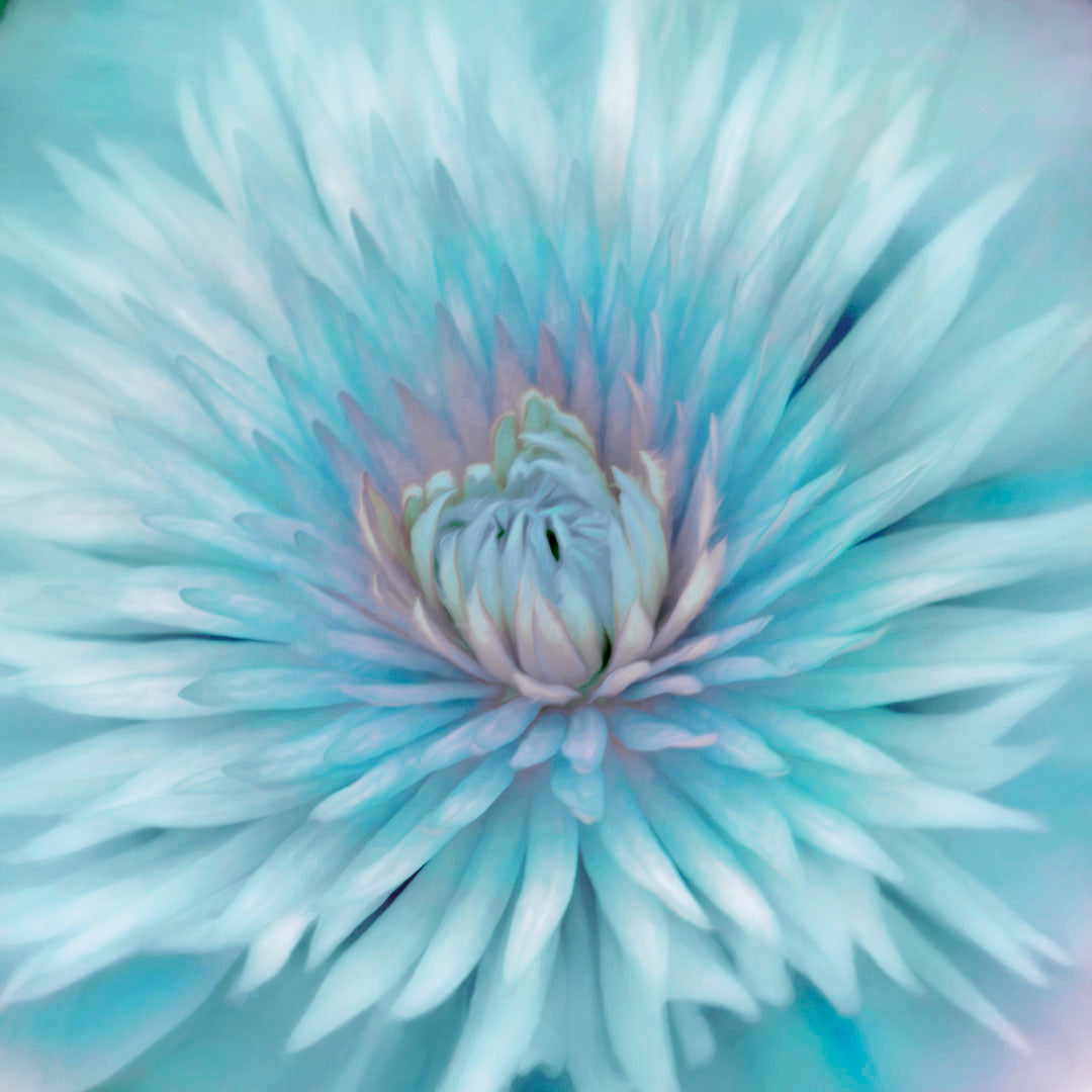 Dragable Image