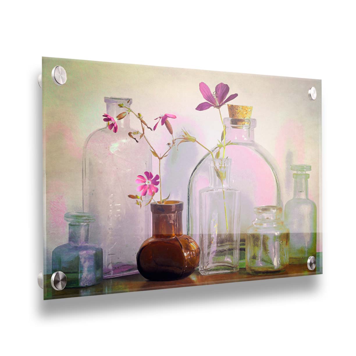 A photo of a selection of glass bottles and vases, sitting on a table. Sprigs of pink flowers rest in a few of the bottles. Printed on acrylic.