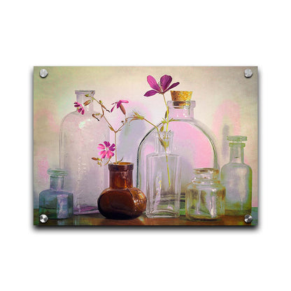 A photo of a selection of glass bottles and vases, sitting on a table. Sprigs of pink flowers rest in a few of the bottles. Printed on acrylic.