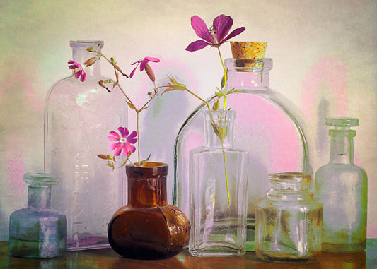 A photo of a selection of glass bottles and vases, sitting on a table. Sprigs of pink flowers rest in a few of the bottles. 