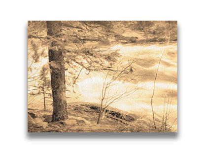 A photo at the bank of a river in sepia, with a tree on the left and a rushing river on the right. Printed on canvas.