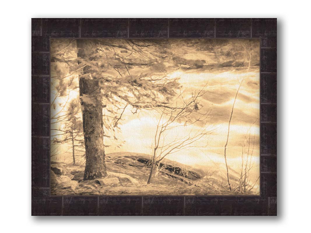 A photo at the bank of a river in sepia, with a tree on the left and a rushing river on the right. Printed on canvas and framed.