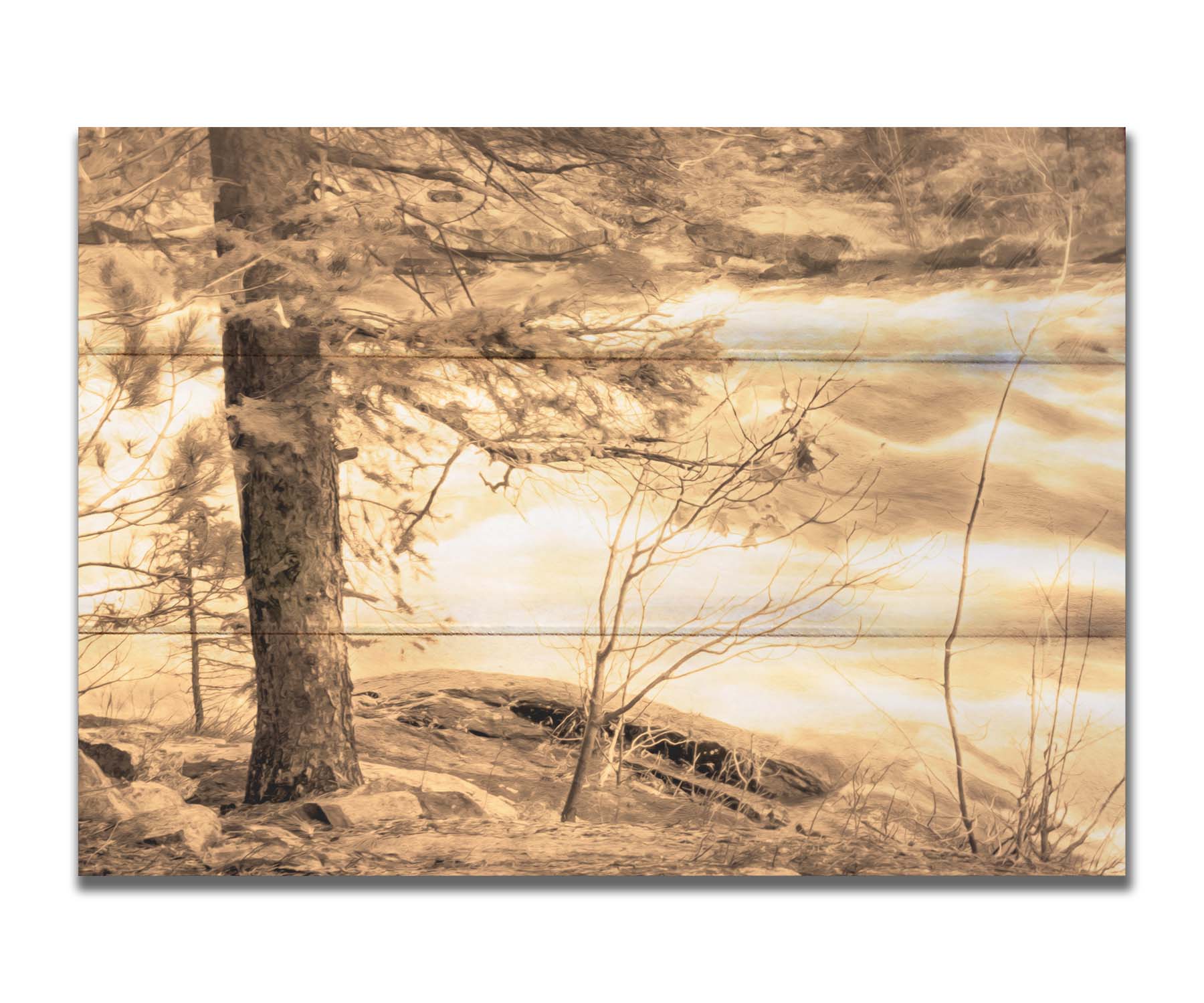 A photo at the bank of a river in sepia, with a tree on the left and a rushing river on the right. Printed on a box board.