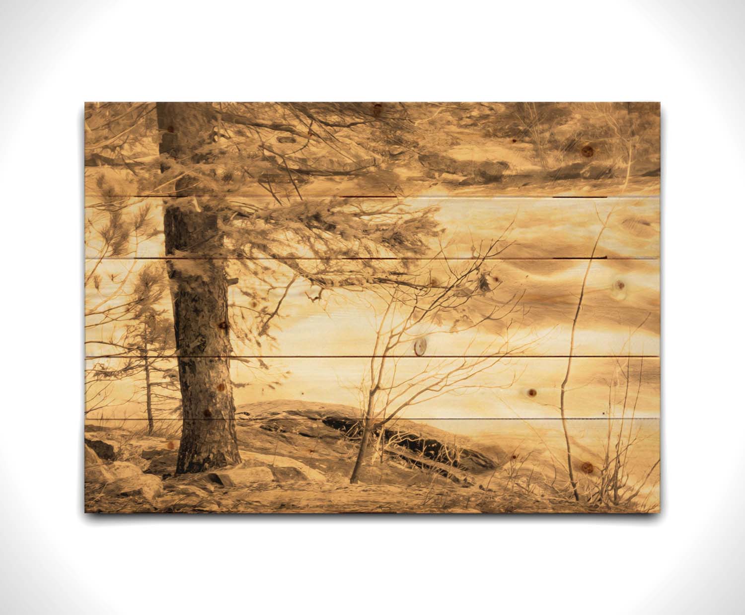 A photo at the bank of a river in sepia, with a tree on the left and a rushing river on the right. Printed on a wood pallet.