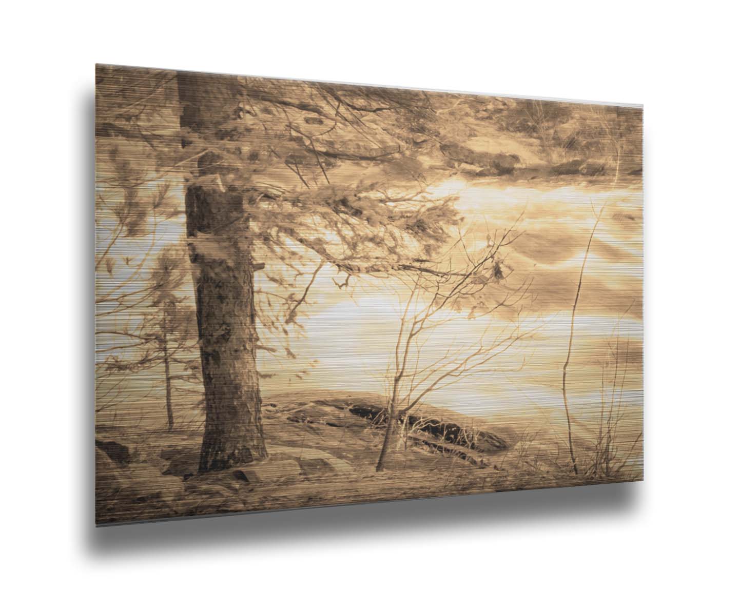 A photo at the bank of a river in sepia, with a tree on the left and a rushing river on the right. Printed on metal.