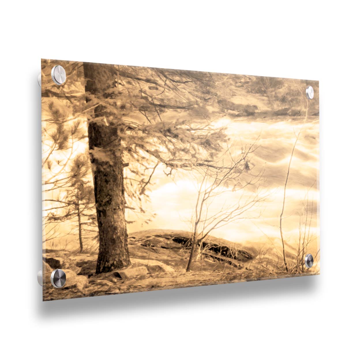 A photo at the bank of a river in sepia, with a tree on the left and a rushing river on the right. Printed on acrylic.