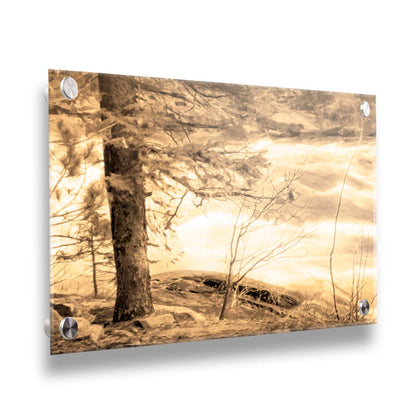 A photo at the bank of a river in sepia, with a tree on the left and a rushing river on the right. Printed on acrylic.