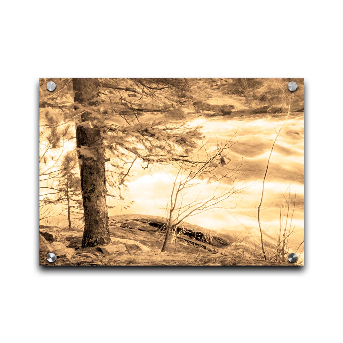 A photo at the bank of a river in sepia, with a tree on the left and a rushing river on the right. Printed on acrylic.