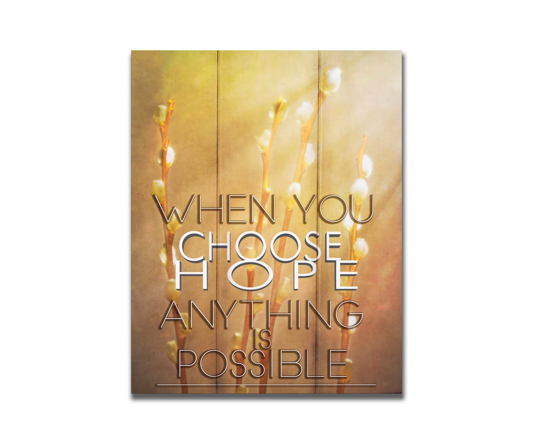 A photo of four stems of plant buds bathed in golden light. The phrase "When you choose hope, anything is possible" is superimposed on the center. Printed on a box board.