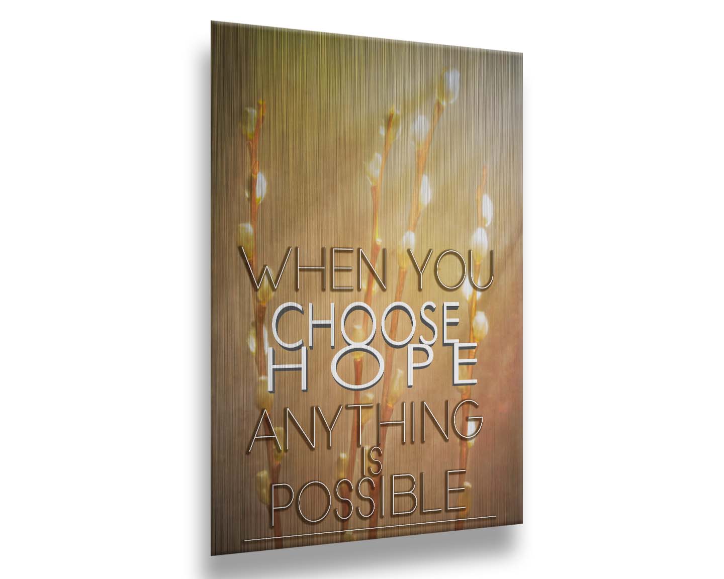 A photo of four stems of plant buds bathed in golden light. The phrase "When you choose hope, anything is possible" is superimposed on the center. Printed on metal.